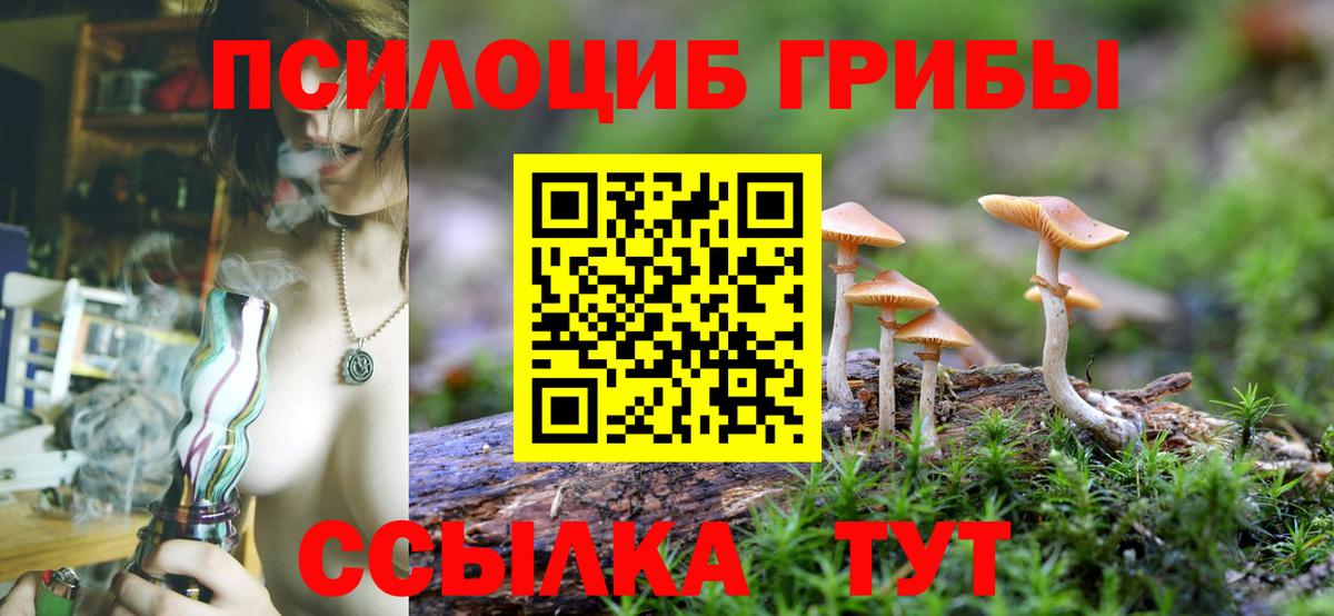 Галлюциногенные грибы MAGIC MUSHROOMS  Галлюциногенные грибы Psilocybe  Ревда  Вход с VPN 