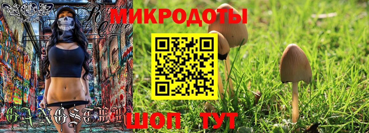Псилоцибиновые грибы Cubensis Ревда